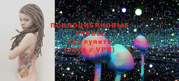 ПСИЛОЦИБИНОВЫЕ ГРИБЫ Горно-Алтайск
