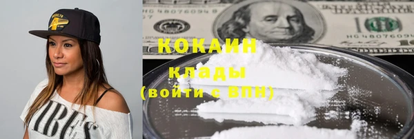 крисы Горняк