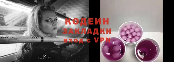 ПСИЛОЦИБИНОВЫЕ ГРИБЫ Горно-Алтайск