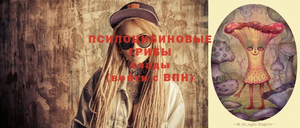 ПСИЛОЦИБИНОВЫЕ ГРИБЫ Горно-Алтайск