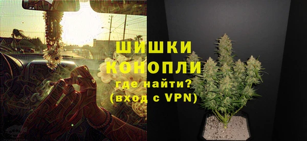 ПСИЛОЦИБИНОВЫЕ ГРИБЫ Горно-Алтайск
