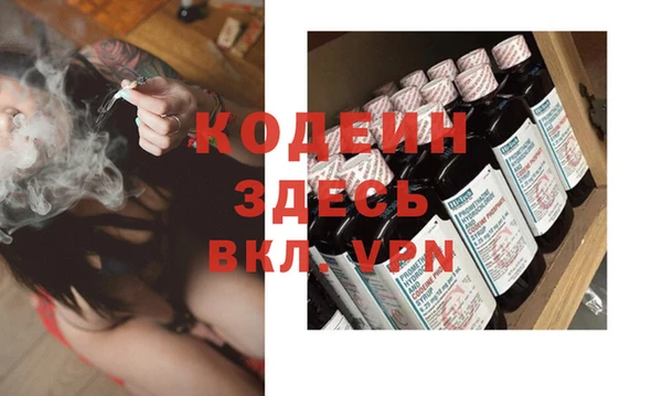 крисы Горняк