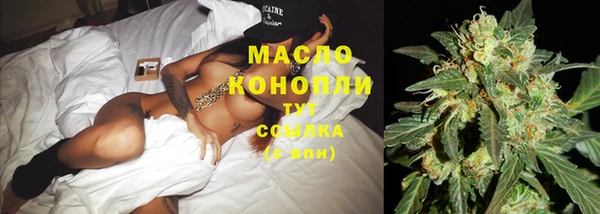 крисы Горняк