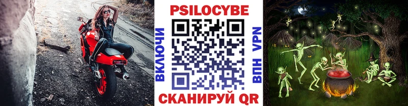 Галлюциногенные грибы мухоморы  Заводоуковск 