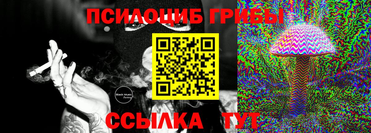 закладки  Вход с VPN  Заводоуковск  Псилоцибиновые грибы Cubensis 