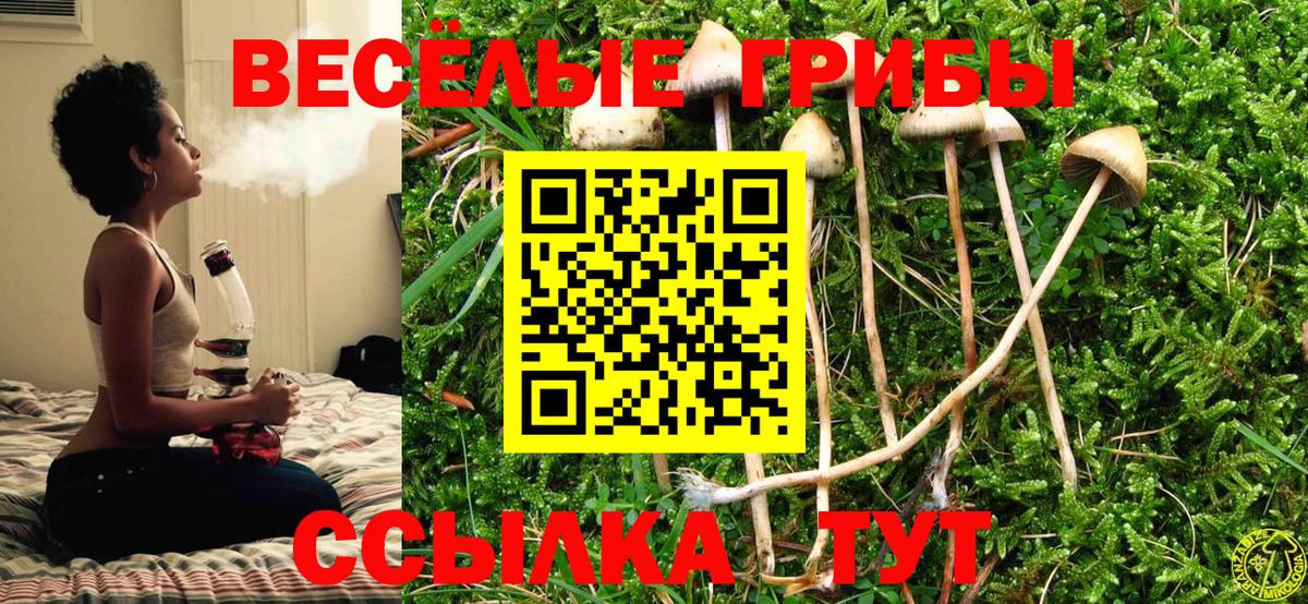 Псилоцибиновые грибы GOLDEN TEACHER Заводоуковск